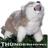 Thunderhowl
