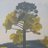 TonyPark03