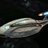TrekDr