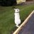 Trex_TIF