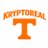 VolsEverything