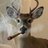 WENDIGO_420x