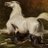 Whippetartist