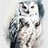 WhoGoezHedwig