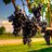 WinesandVines