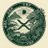 XRPDRAGON