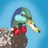 _Sta1r_