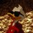_furnx