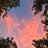 amit_jindar