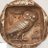 amy_likes_owls
