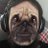 andy_rossiter76