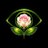 bloomseye