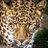 brickman_k75343