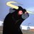 bull_feath95552