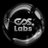 cdslabs_