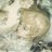 circvsfiance