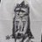 collinconnors