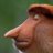 computerusr