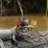 curious_jorg3