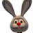 easterbunnycard