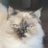firecatrek54072