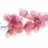 flowstateflower