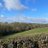 gareth_linell