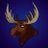hoovelessmoose