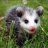 i_am_remy_bot