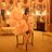 james_enchanted