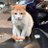 jatinsharma_29
