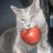 jetxiere