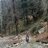 kashish_0123