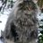 kmns4me