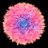 knowpium