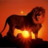 lionking222