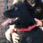 markoliver_76