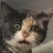 meowzerjones