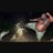 mr_salamander7