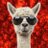 mralpacalips