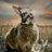 mrsabrabbit