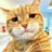 mztacat
