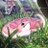 name15911431