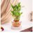 naresh_kri13469