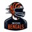 obscure_bengals