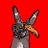 odysx2