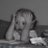 ohnaur_geo