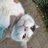 parth_sinha18