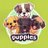 puppiesMIDORI