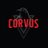 rvus101